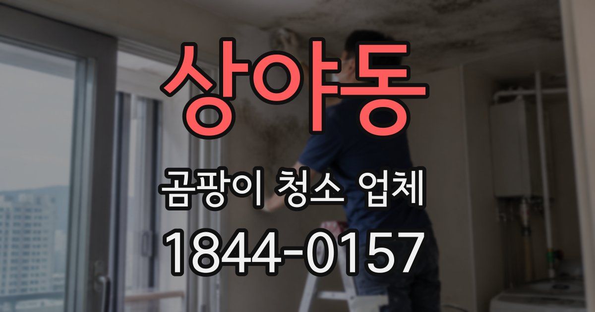 상야동 곰팡이 청소 업체