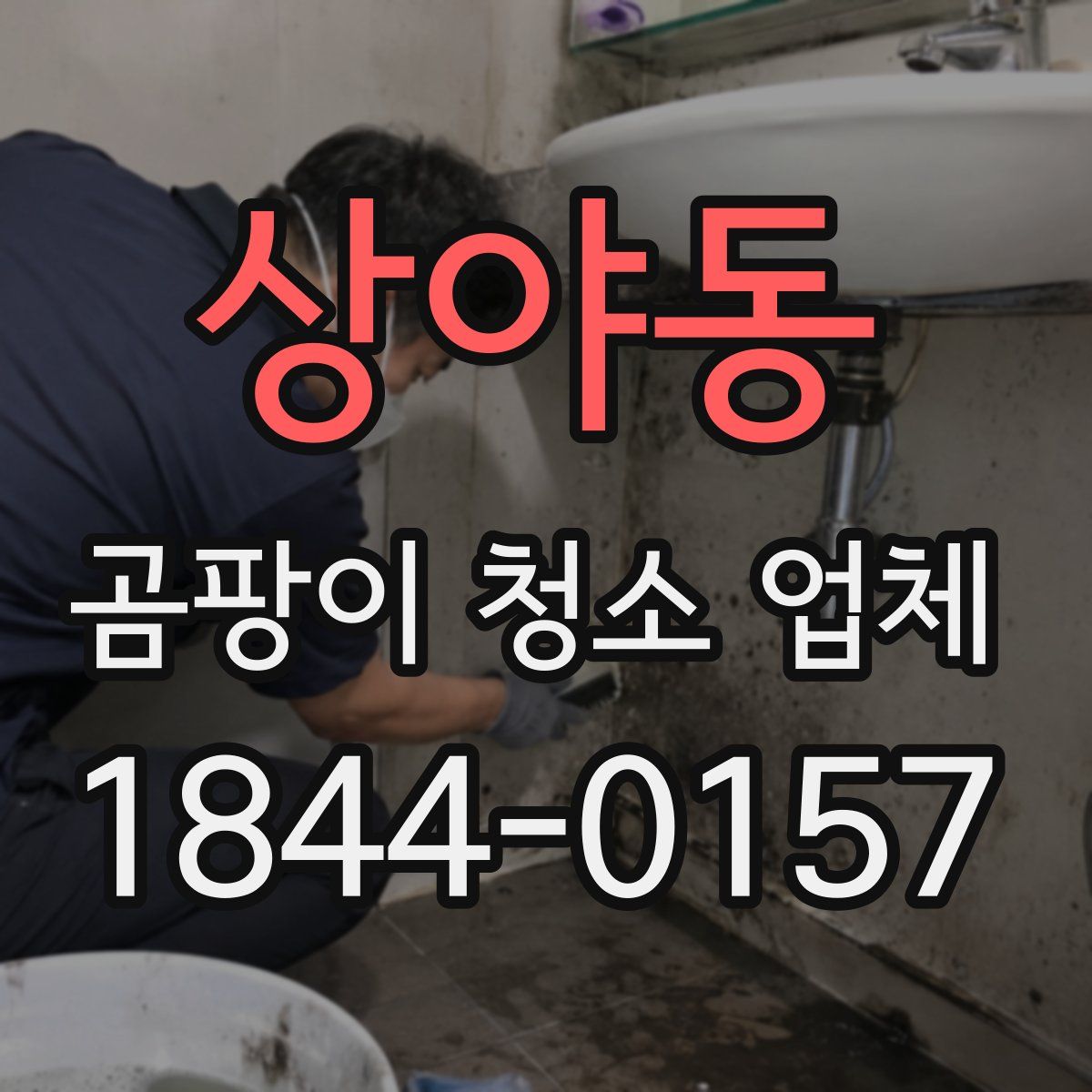 상야동 곰팡이 청소 업체