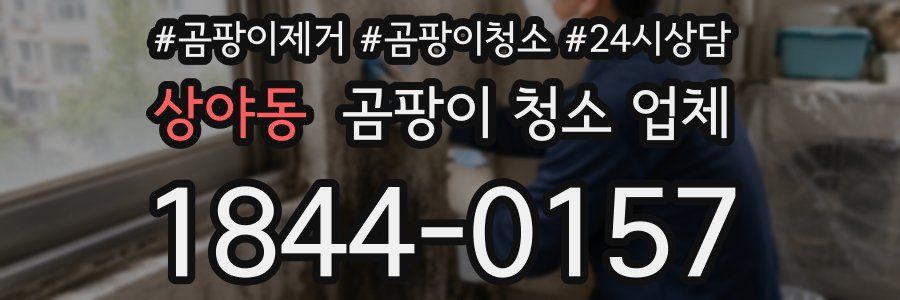 상야동 곰팡이 청소 업체