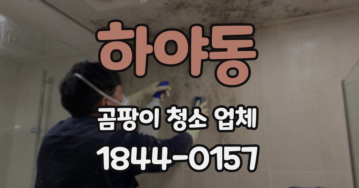 하야동 곰팡이 청소 업체