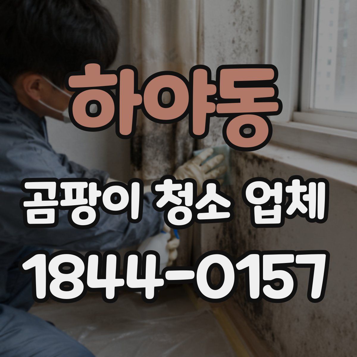 하야동 곰팡이 청소 업체