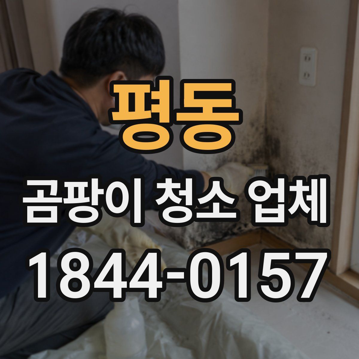 평동 곰팡이 청소 업체