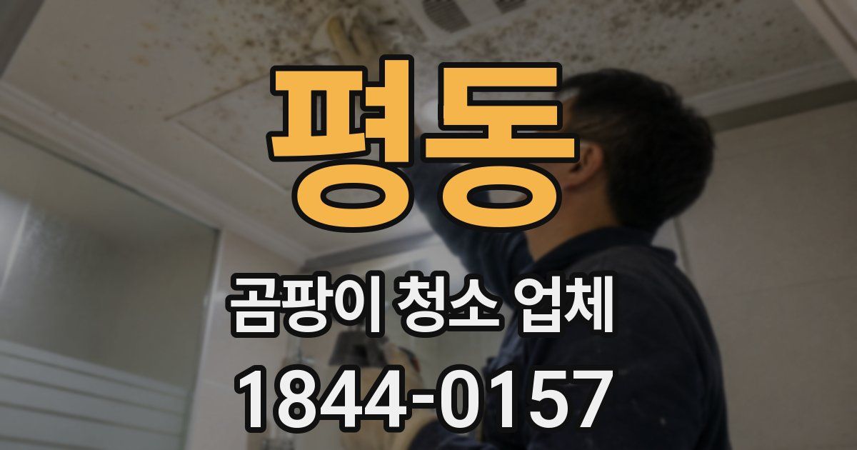 평동 곰팡이 청소 업체
