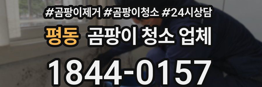 평동 곰팡이 청소 업체