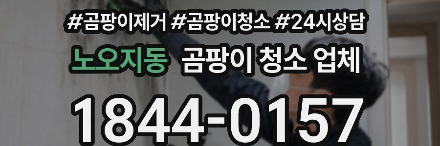 노오지동 곰팡이 청소 업체