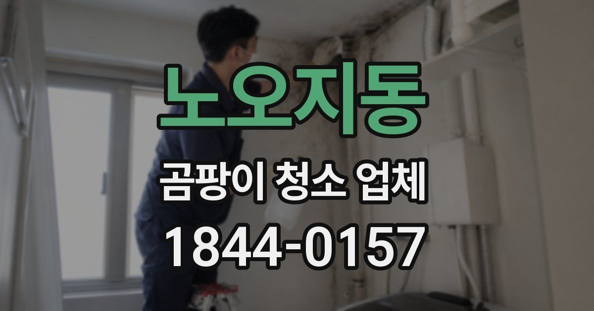 노오지동 곰팡이 청소 업체