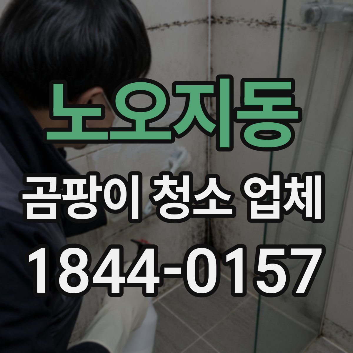 노오지동 곰팡이 청소 업체