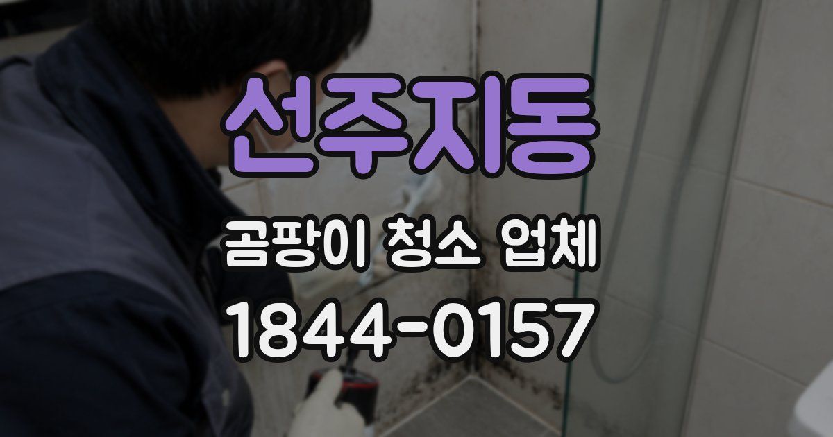 선주지동 곰팡이 청소 업체