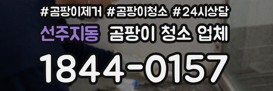 선주지동 곰팡이 청소 업체