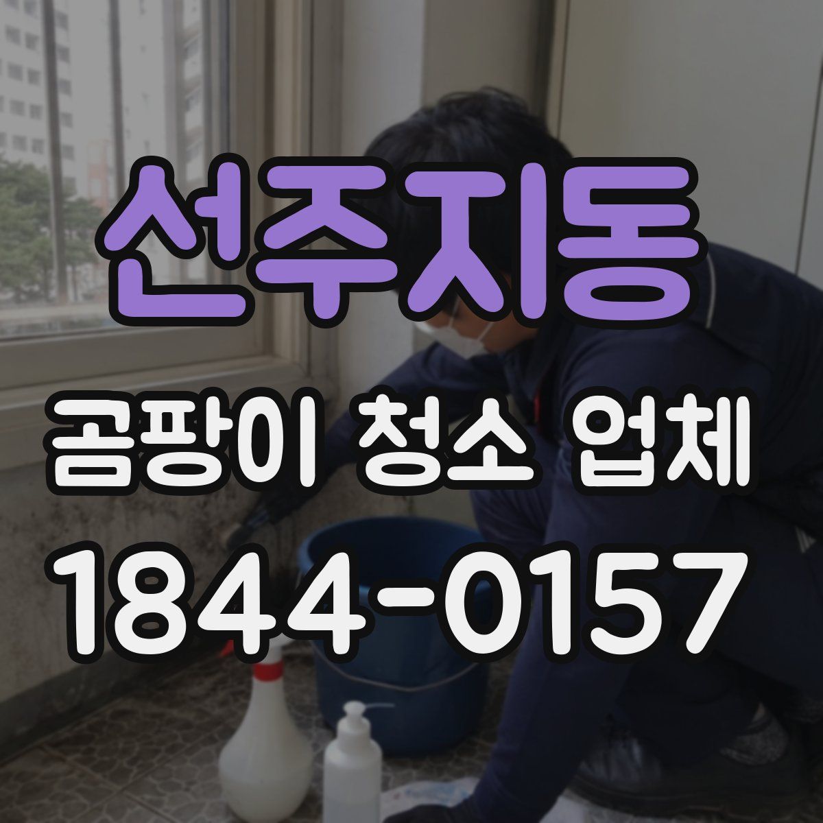 선주지동 곰팡이 청소 업체