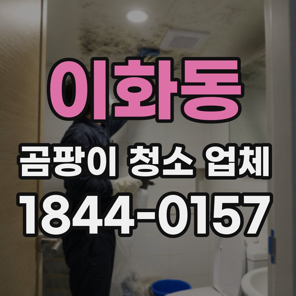 이화동 곰팡이 청소 업체