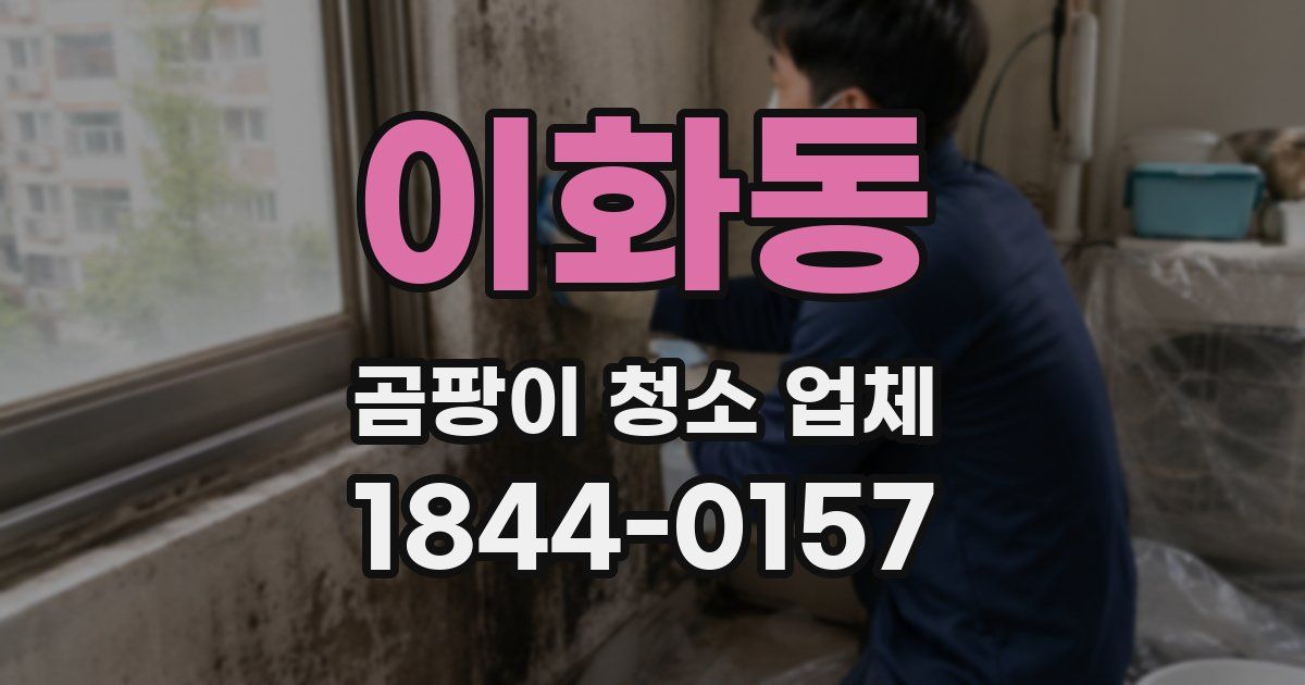 이화동 곰팡이 청소 업체