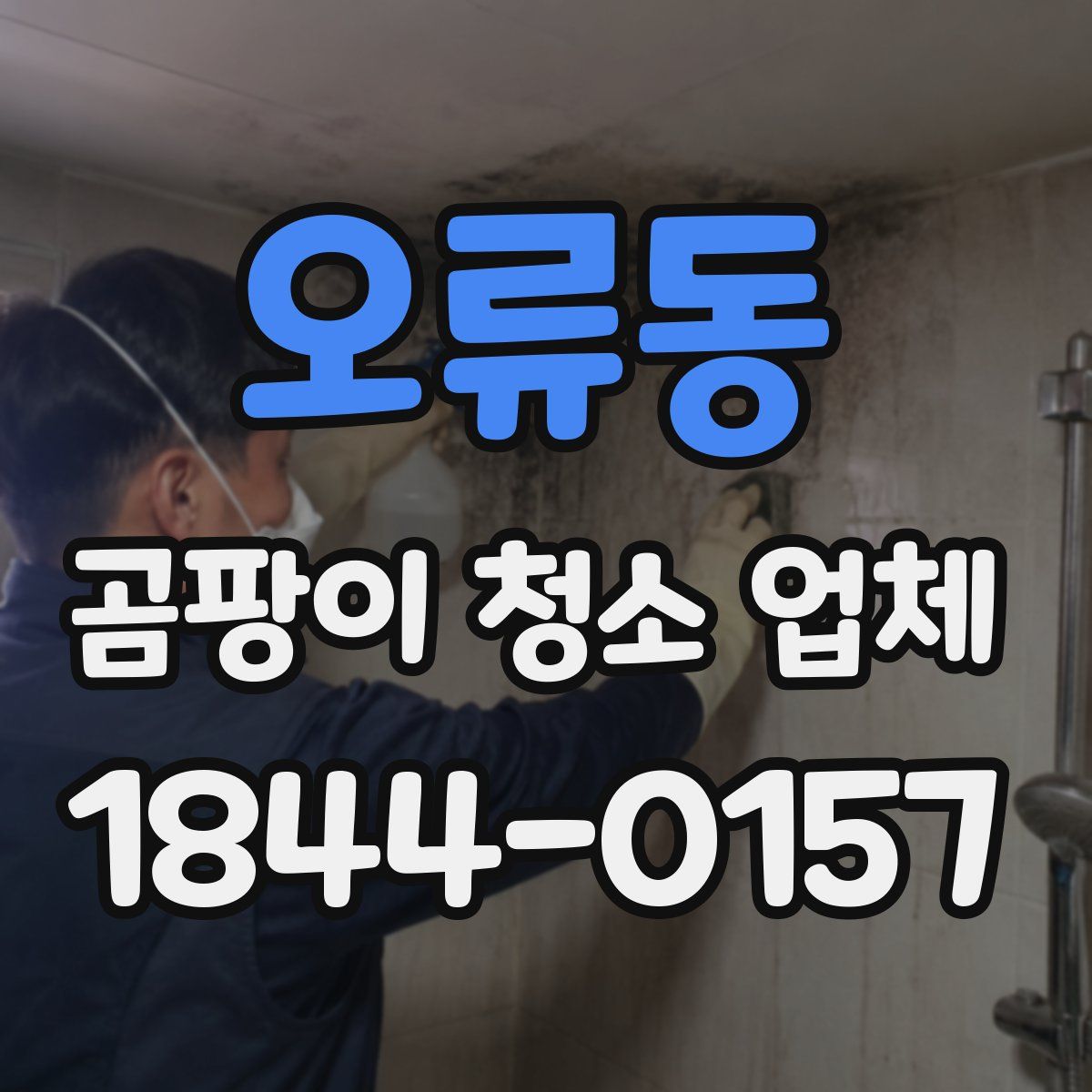 오류동 곰팡이 청소 업체