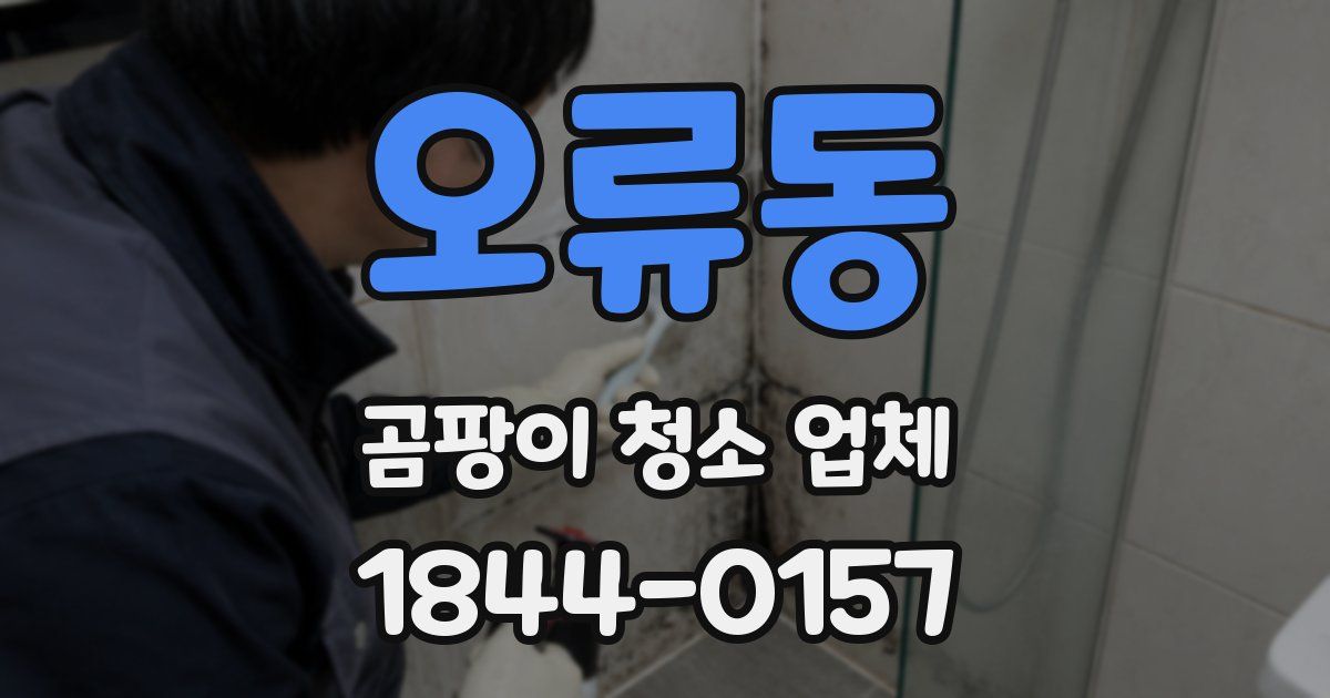 오류동 곰팡이 청소 업체