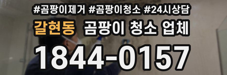 갈현동 곰팡이 청소 업체
