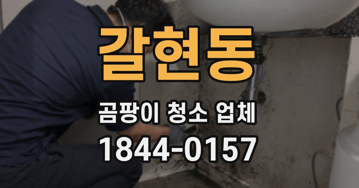 갈현동 곰팡이 청소 업체