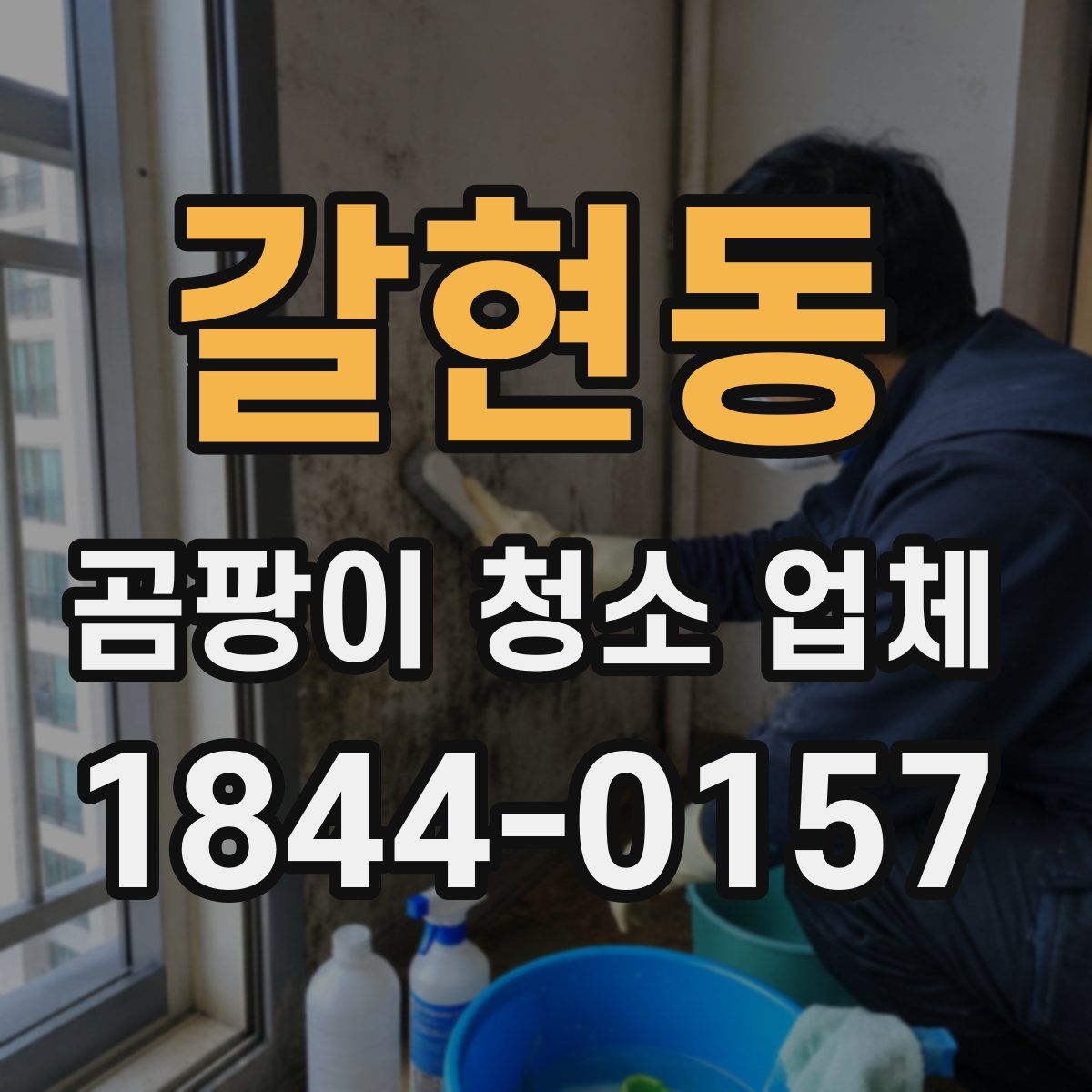 갈현동 곰팡이 청소 업체