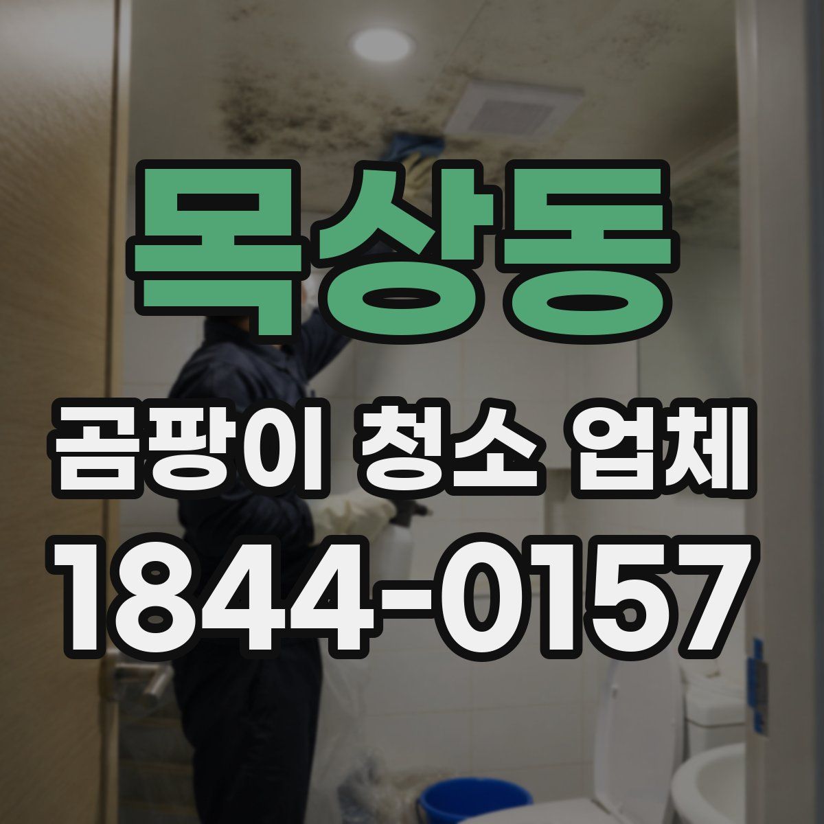 목상동 곰팡이 청소 업체