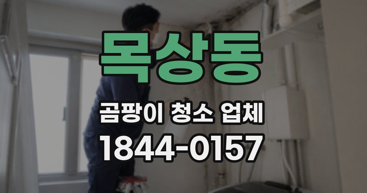 목상동 곰팡이 청소 업체