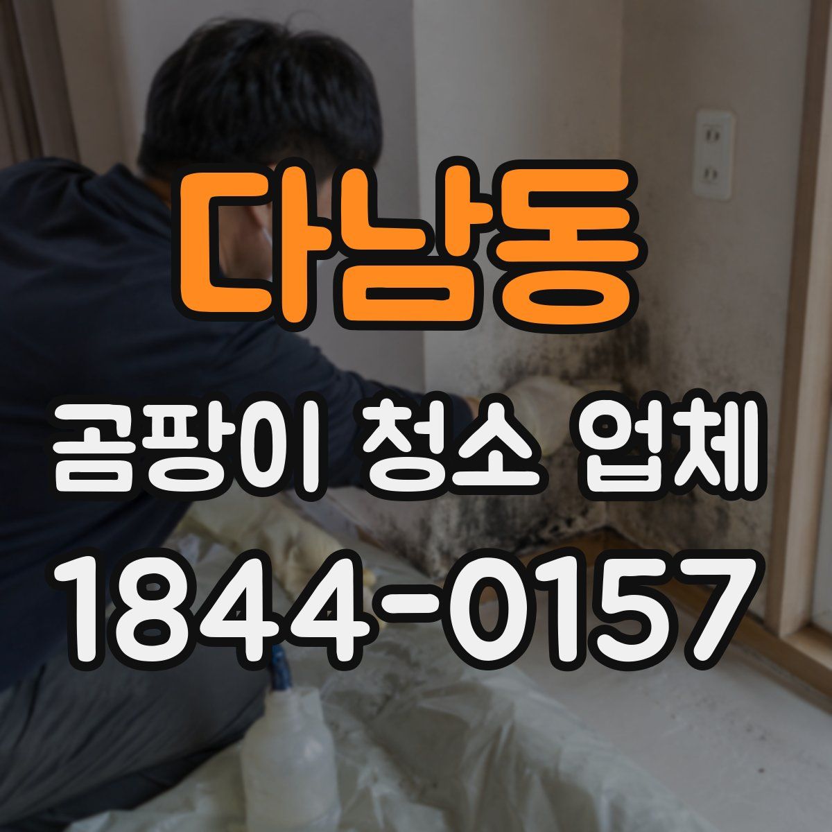 다남동 곰팡이 청소 업체