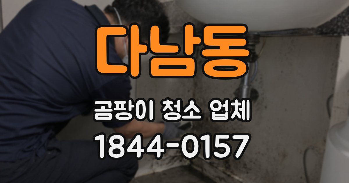 다남동 곰팡이 청소 업체
