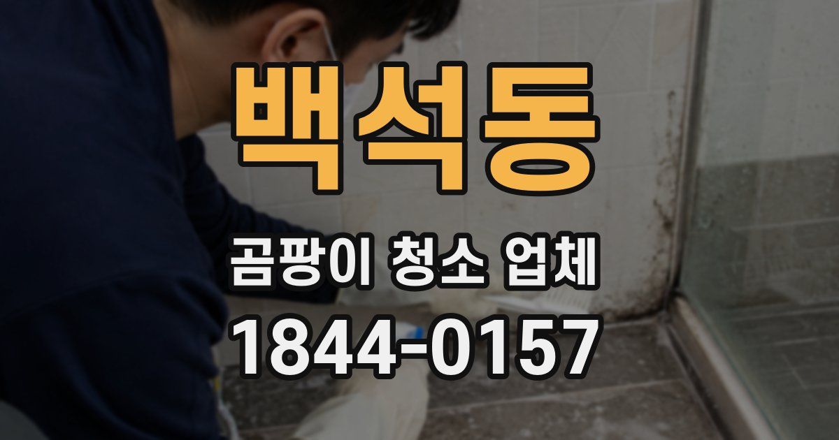 백석동 곰팡이 청소 업체