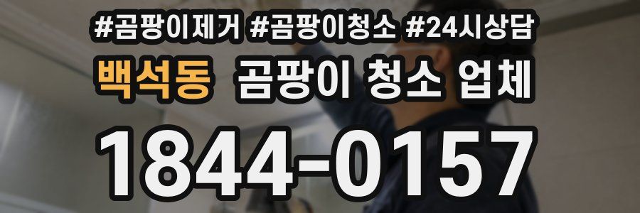 백석동 곰팡이 청소 업체