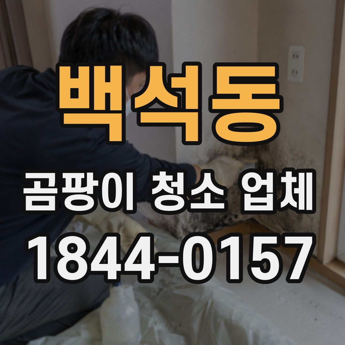 백석동 곰팡이 청소 업체