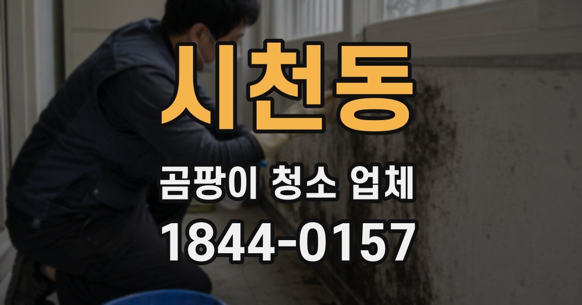시천동 곰팡이 청소 업체