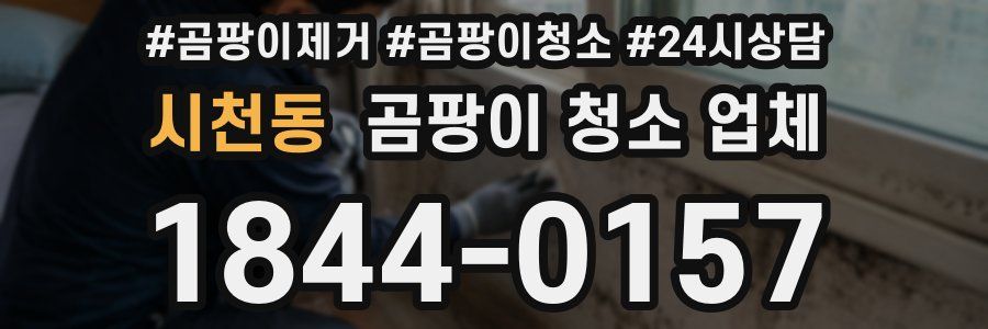 시천동 곰팡이 청소 업체
