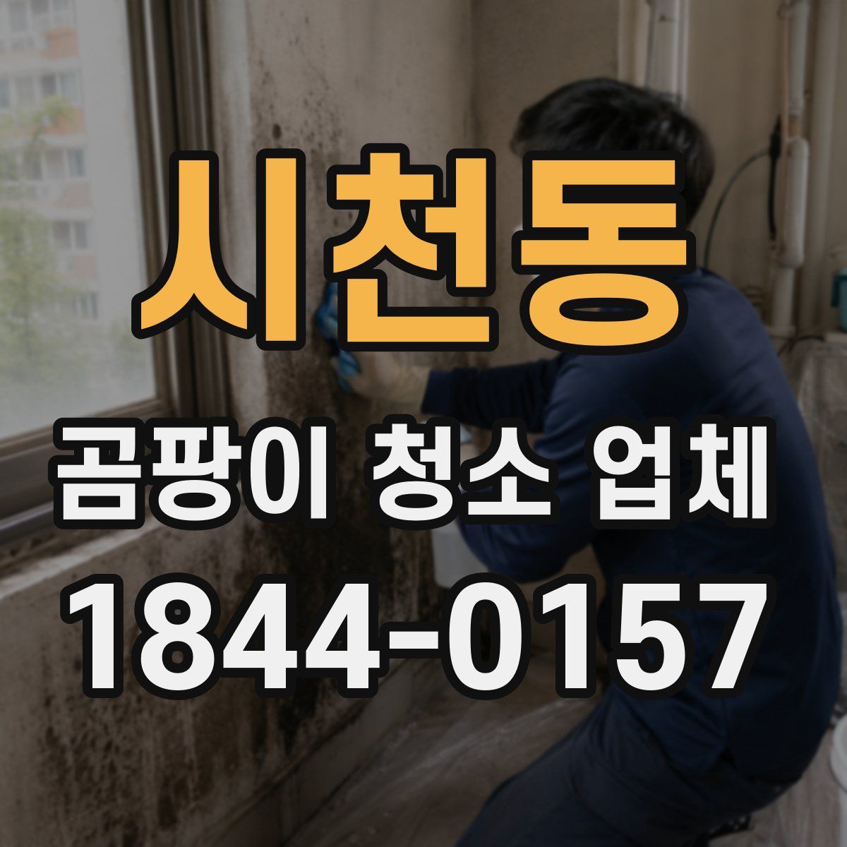 시천동 곰팡이 청소 업체
