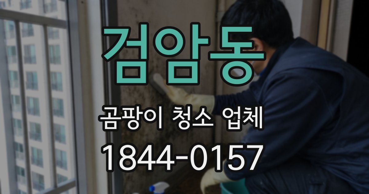 검암동 곰팡이 청소 업체