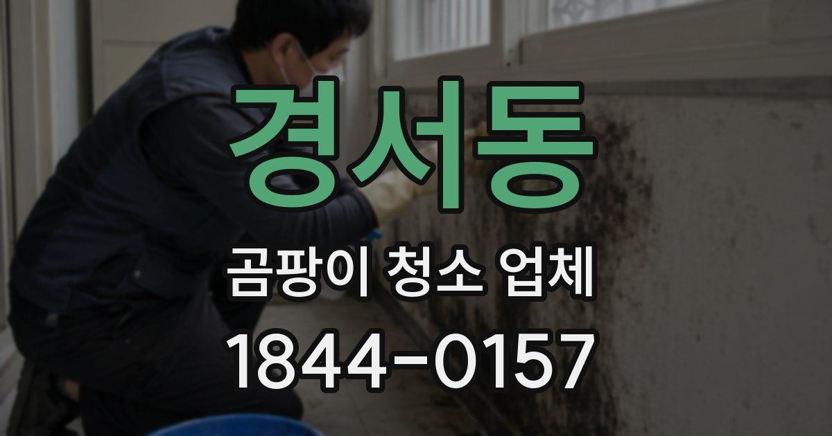 경서동 곰팡이 청소 업체