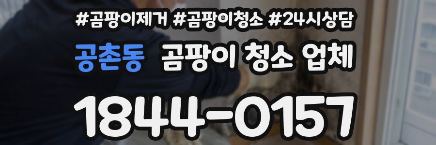 공촌동 곰팡이 청소 업체