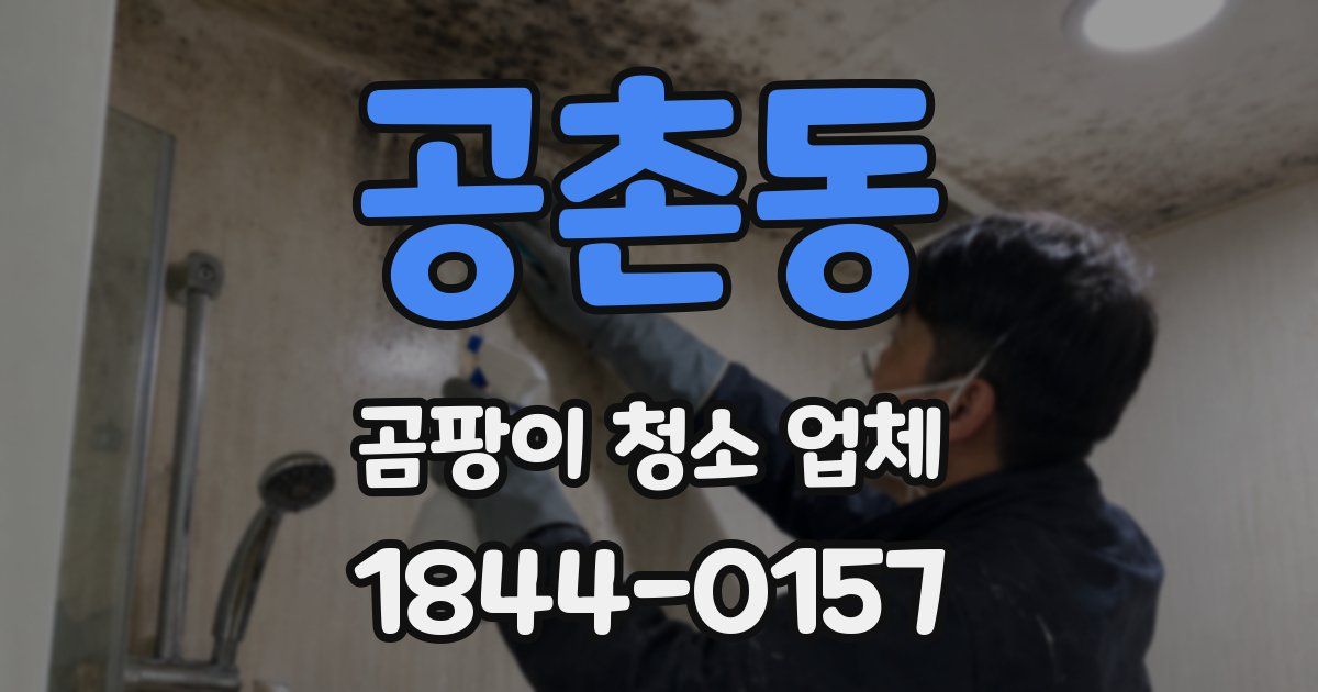 공촌동 곰팡이 청소 업체