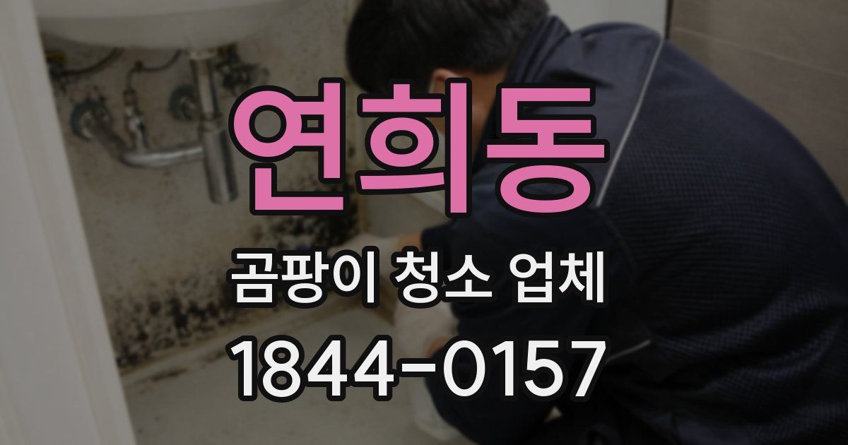 연희동 곰팡이 청소 업체