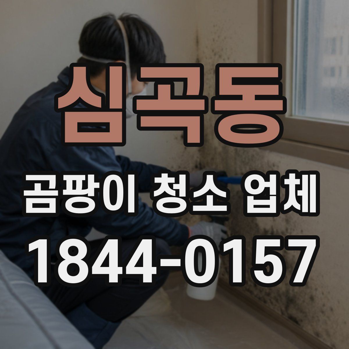 심곡동 곰팡이 청소 업체