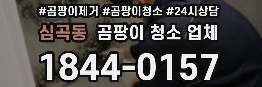 심곡동 곰팡이 청소 업체
