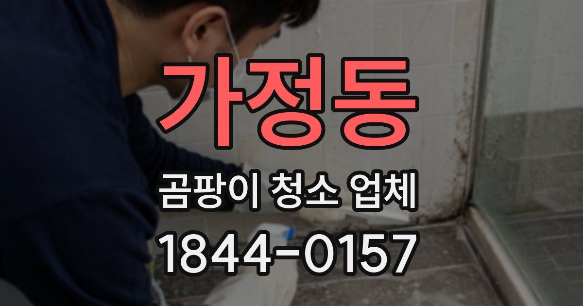 가정동 곰팡이 청소 업체