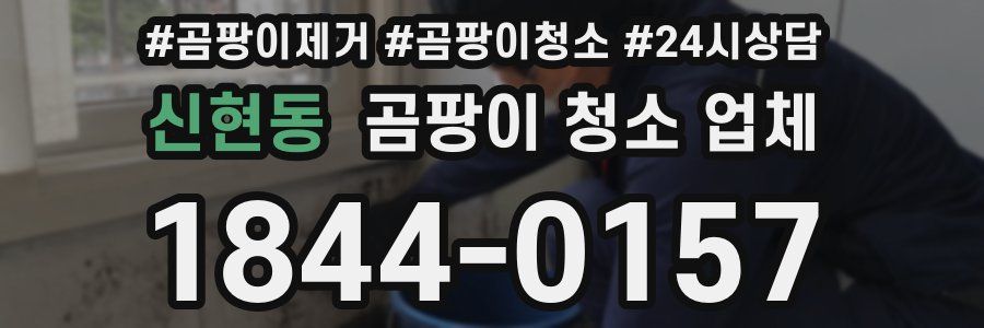 신현동 곰팡이 청소 업체