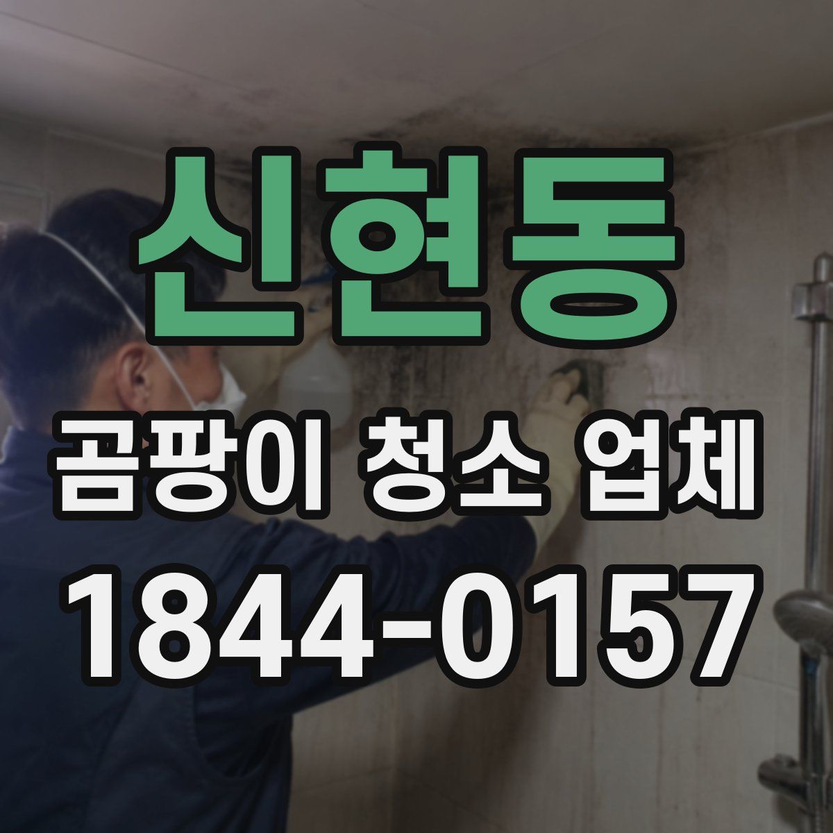 신현동 곰팡이 청소 업체