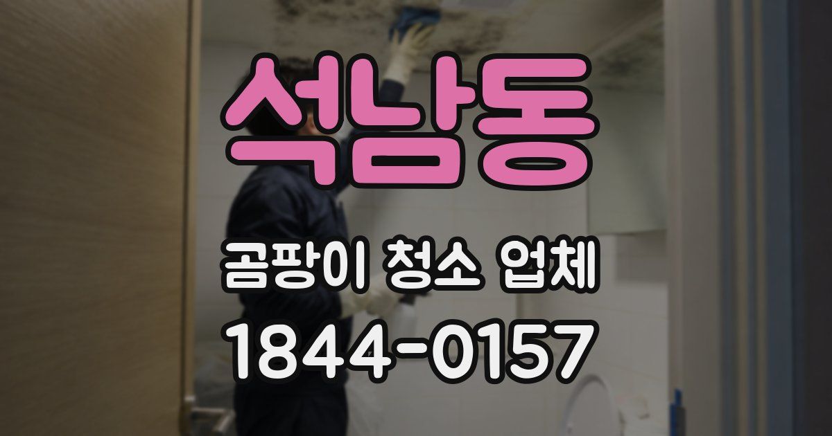 석남동 곰팡이 청소 업체