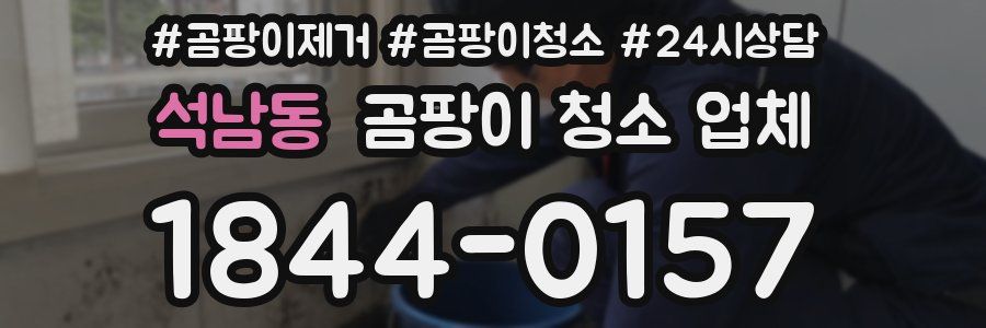 석남동 곰팡이 청소 업체