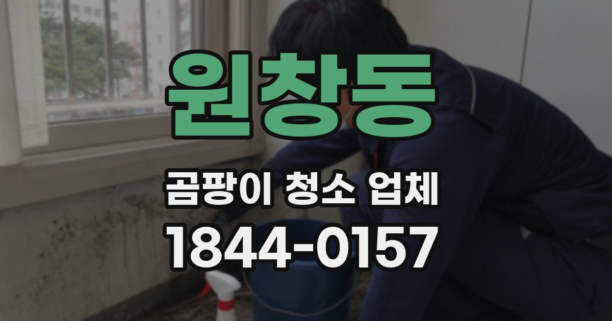 원창동 곰팡이 청소 업체
