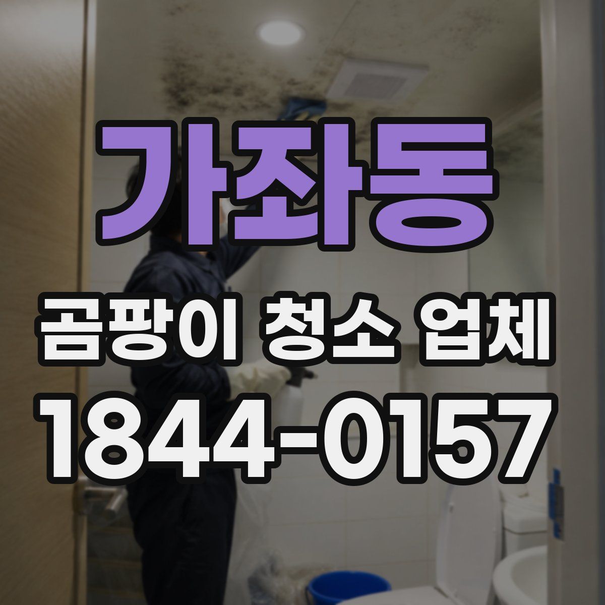 가좌동 곰팡이 청소 업체