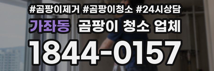 가좌동 곰팡이 청소 업체