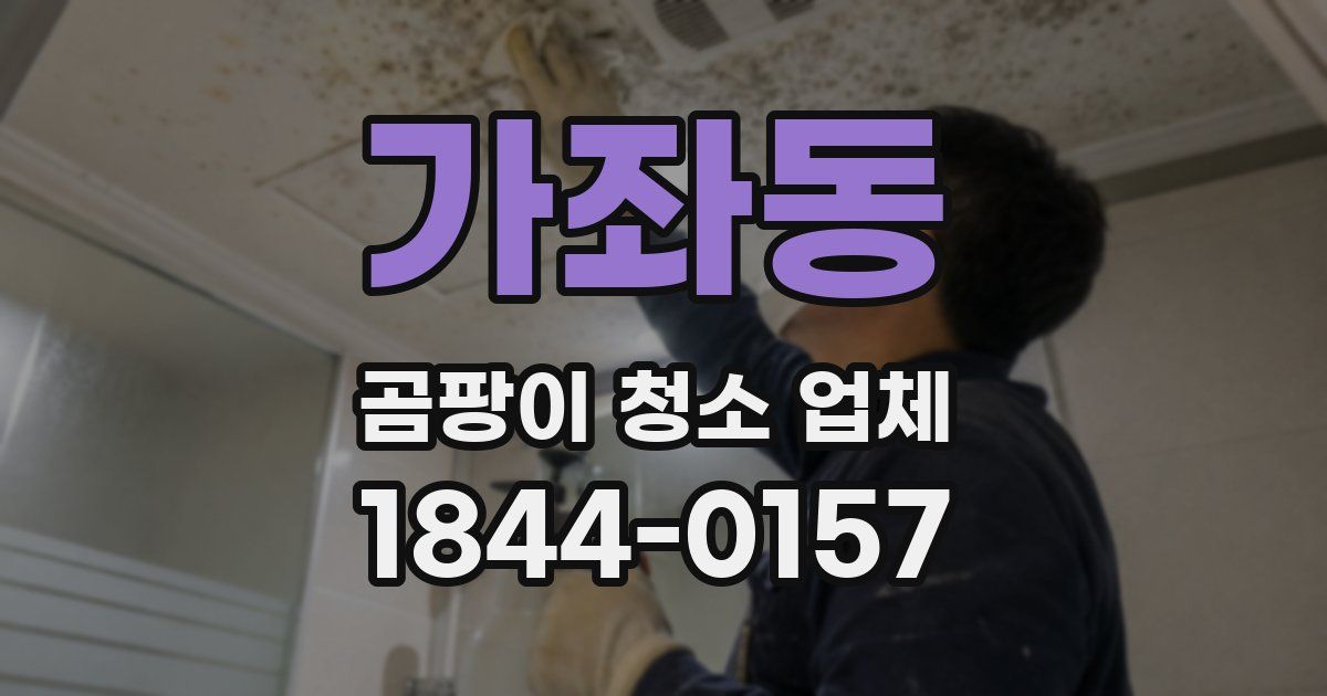 가좌동 곰팡이 청소 업체