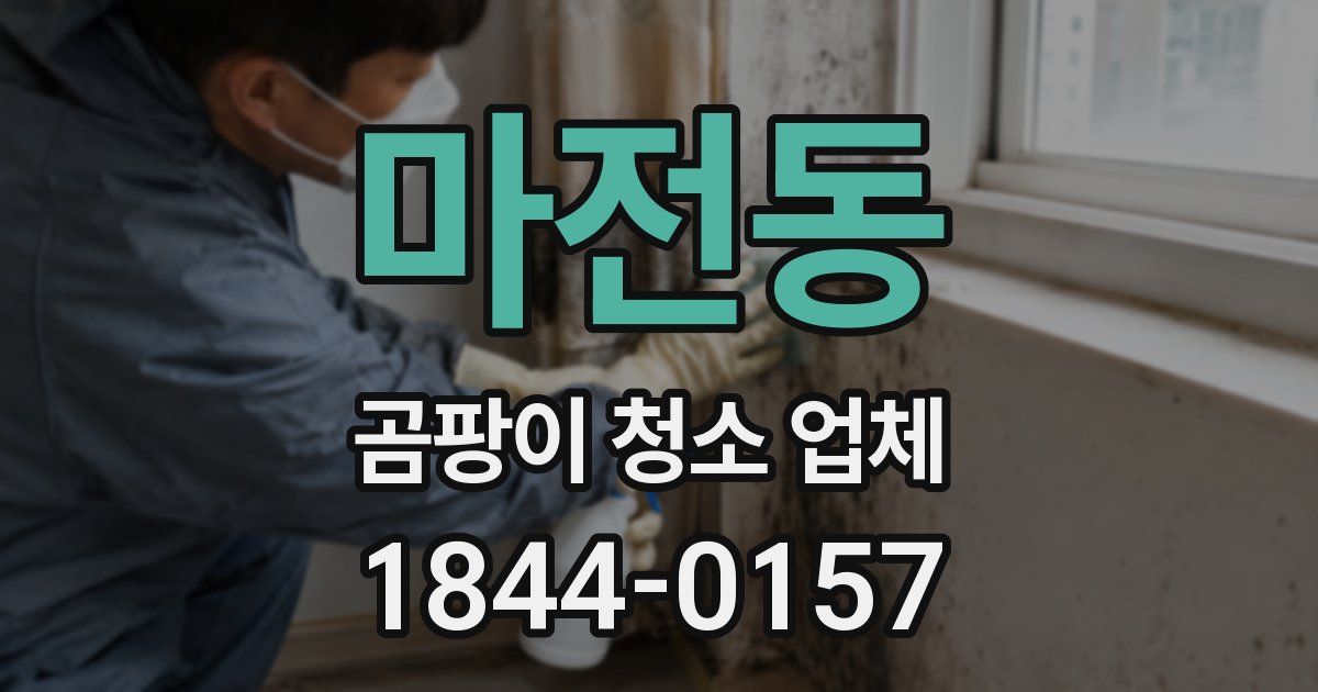 마전동 곰팡이 청소 업체