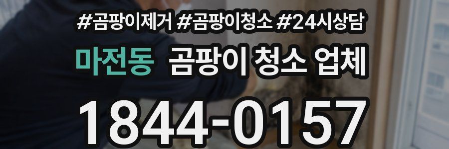 마전동 곰팡이 청소 업체