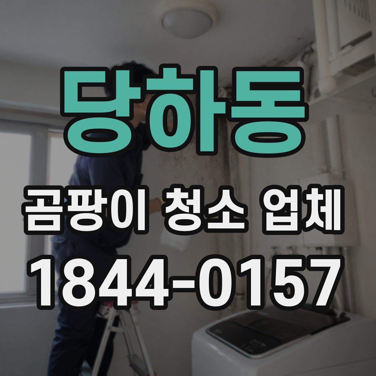 당하동 곰팡이 청소 업체